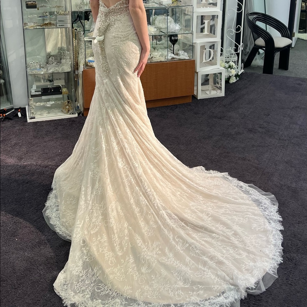 Lace blush wedding gown - Picture 2 of 6